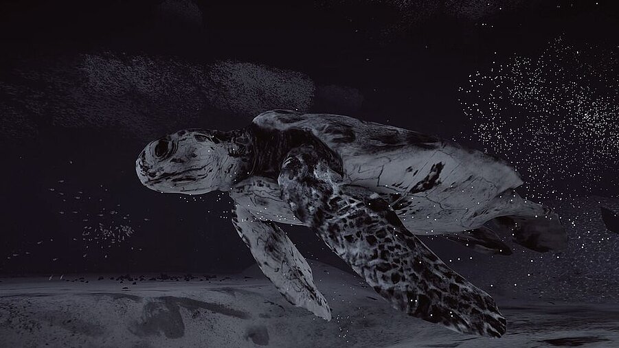 MYRIAD. Where We Connect.