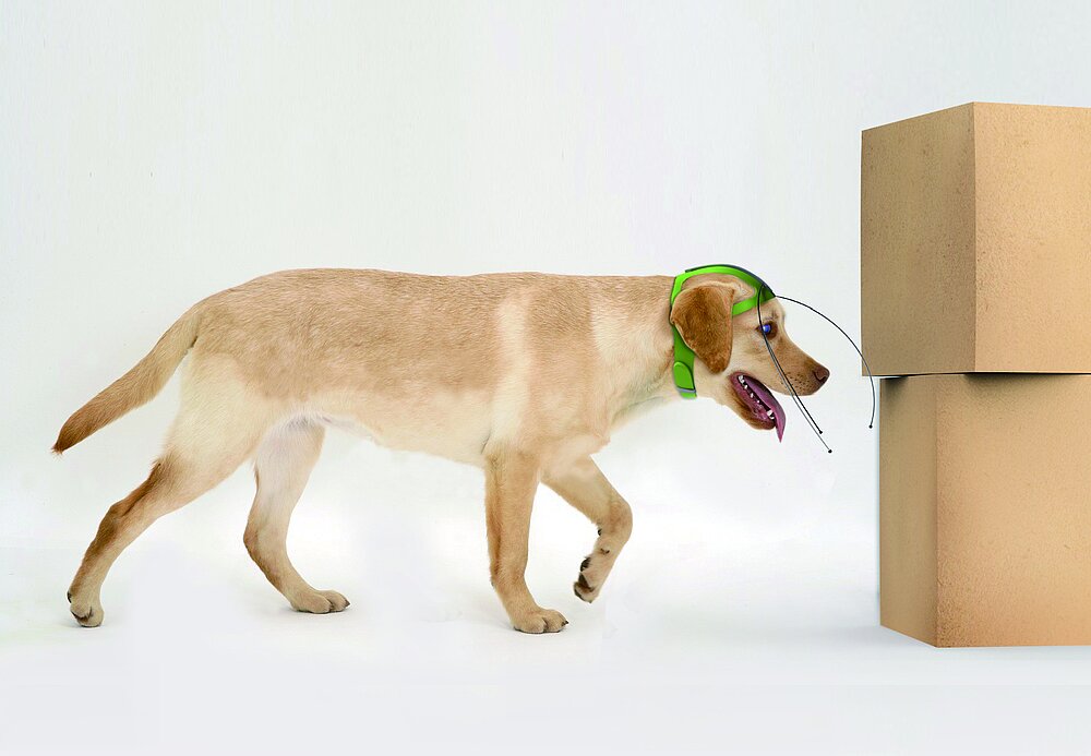 Red Dot Design Award Sightless Dog Antenna