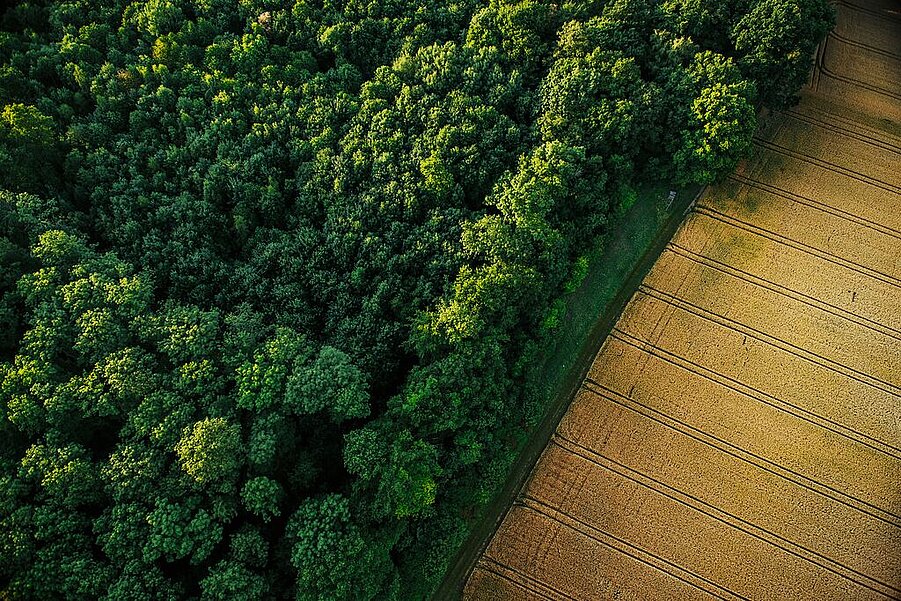 Syngenta Group Audio Branding