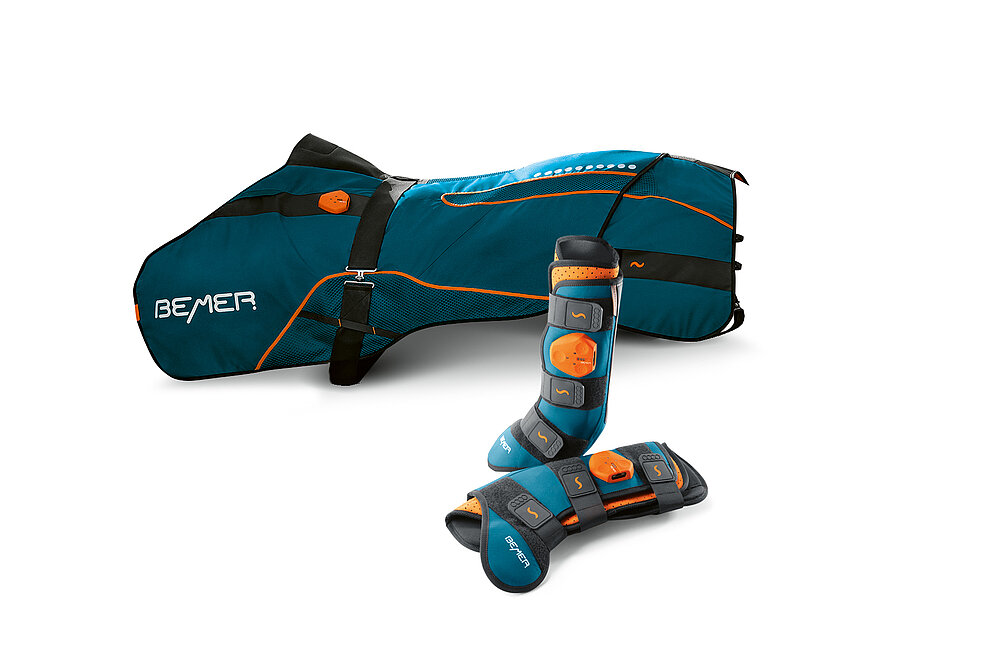 Red Dot Design Award BEMER HorseSet