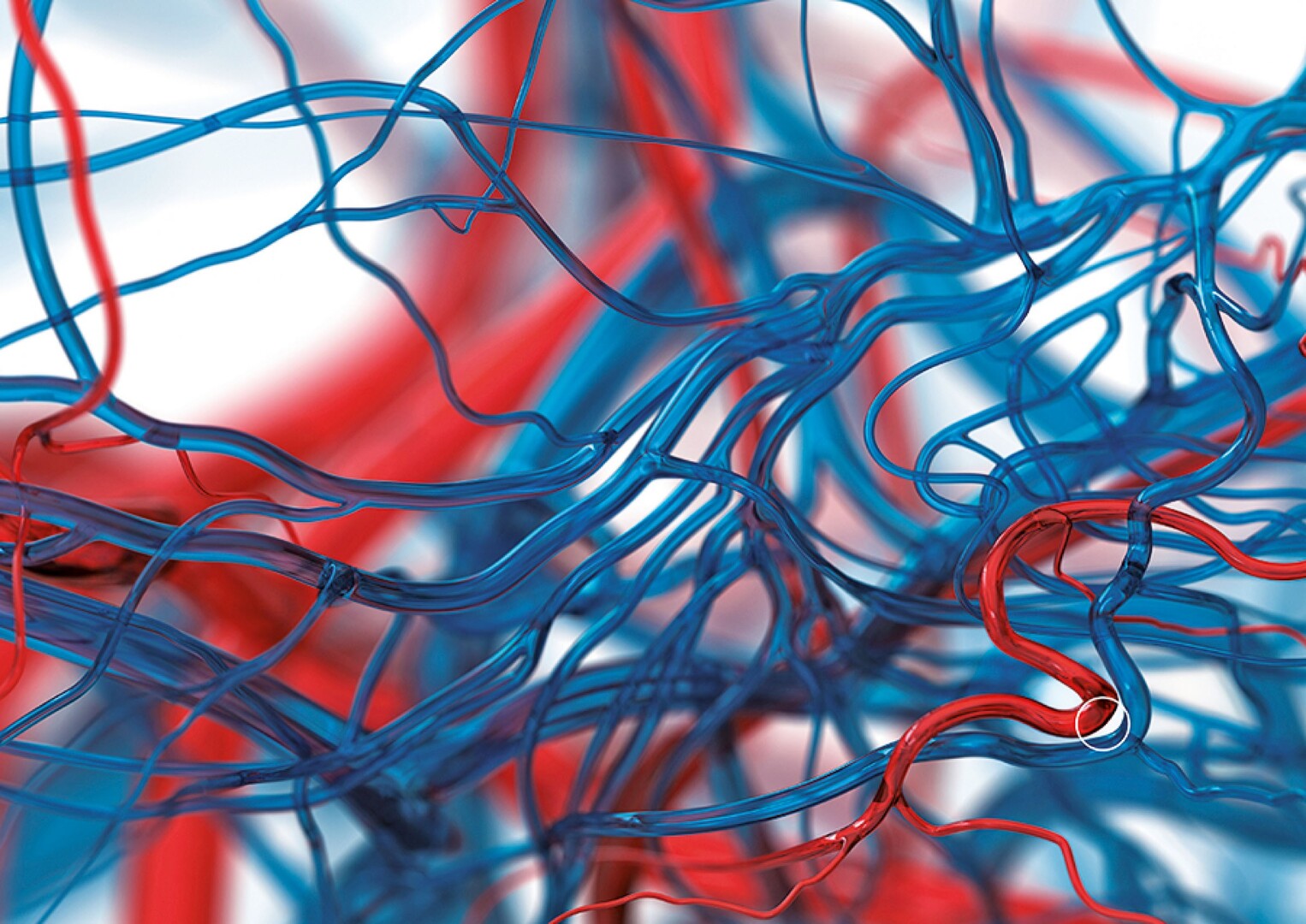 Angiogenesis: Role in Cancer Growth and Spread