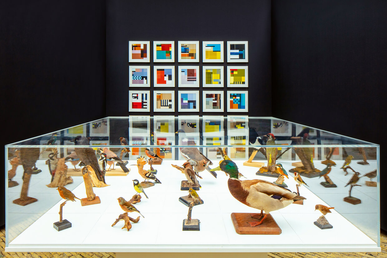 Exhibition design "BLOCBIRDS" 
