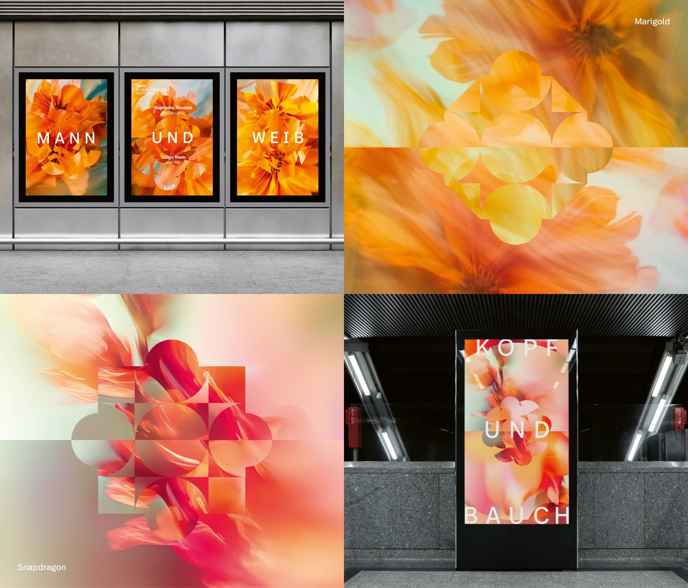 Interview with Ligalux