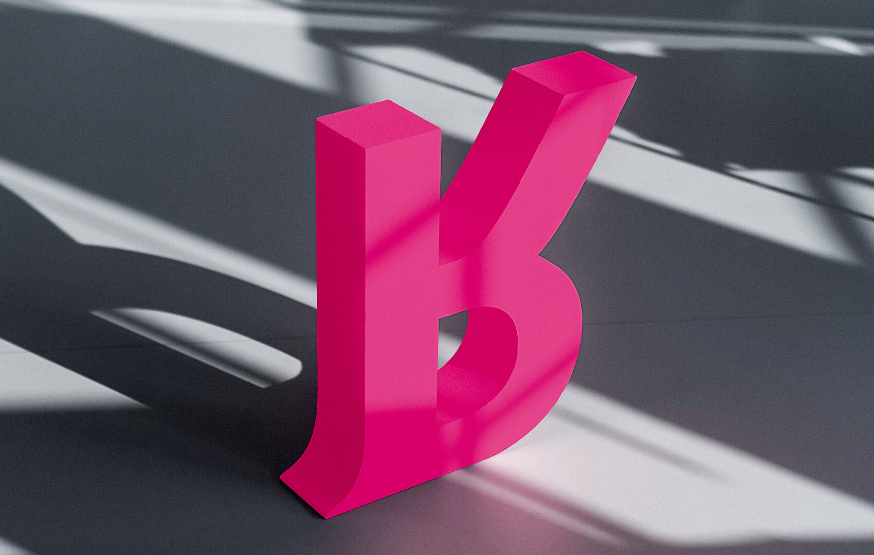 Rosa Schapire Art Prize