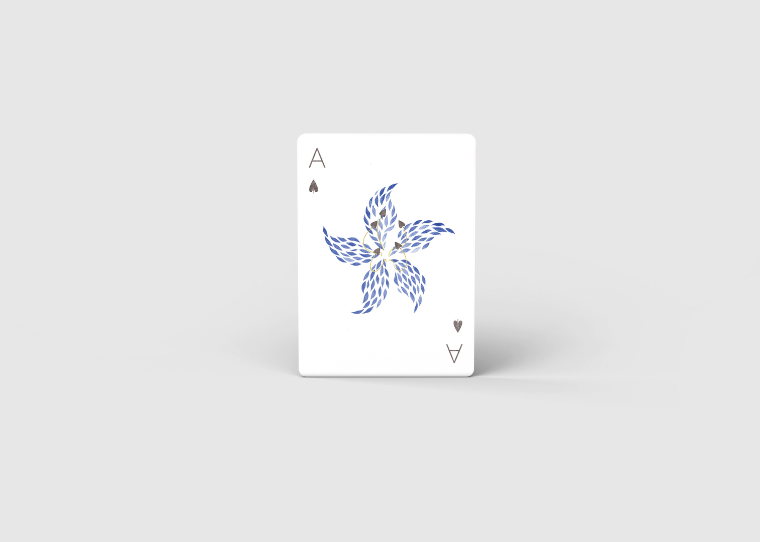 Blue & White Porcelain