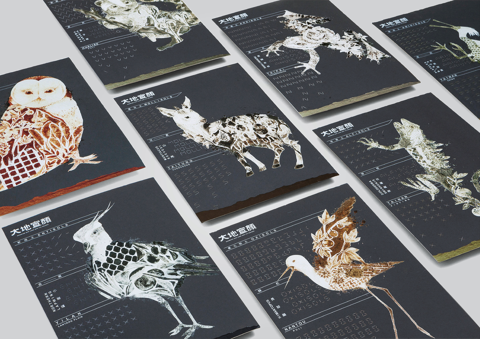 KNOWING OUR LAND AND ITS COLORS