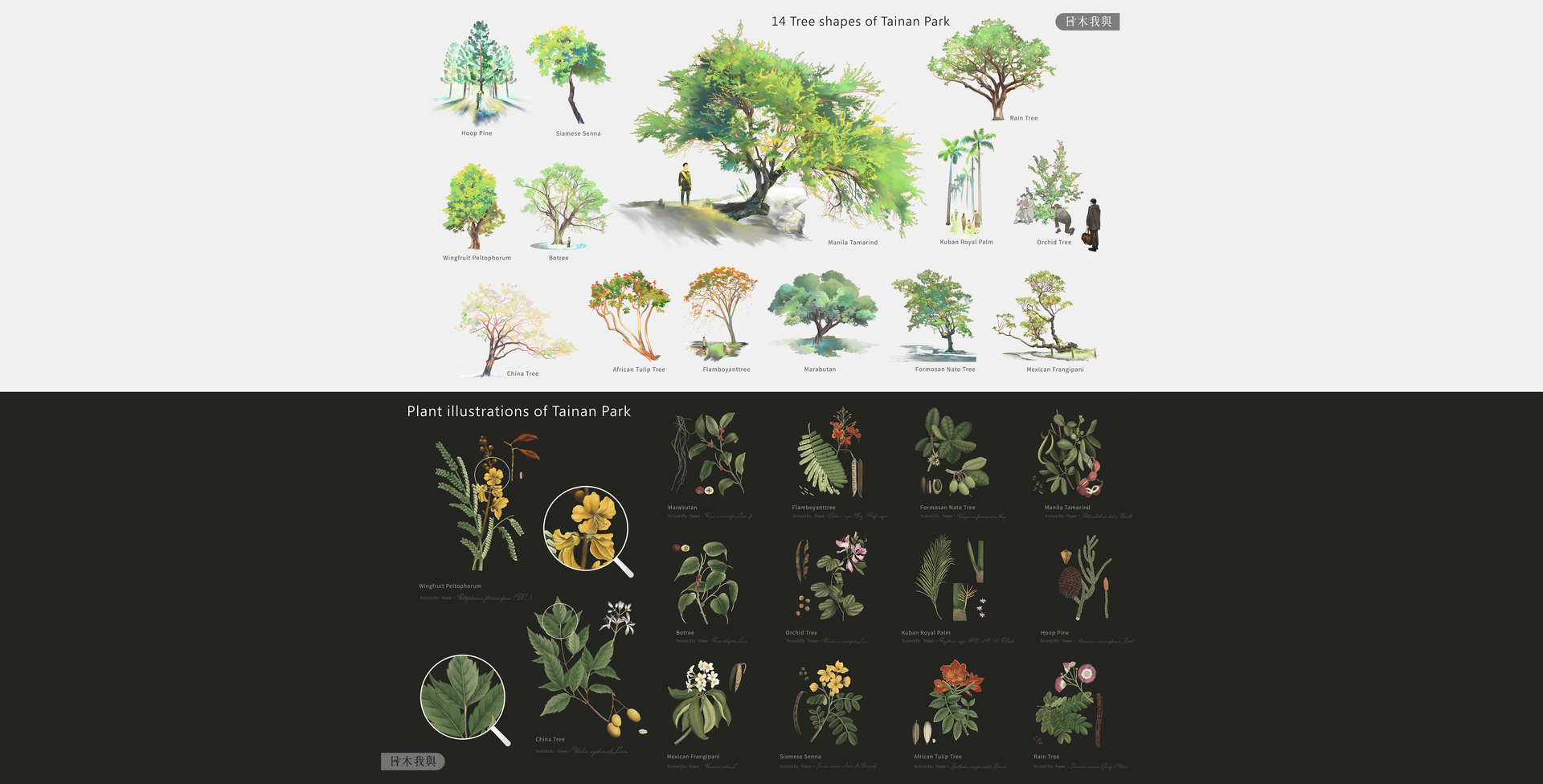 Tainan Park & Plants – Tainan Park Plant Story Museum