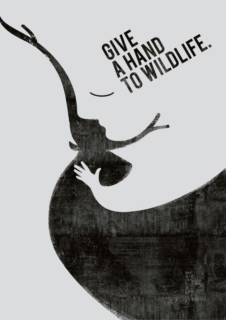 Give a Hand to Wildlife