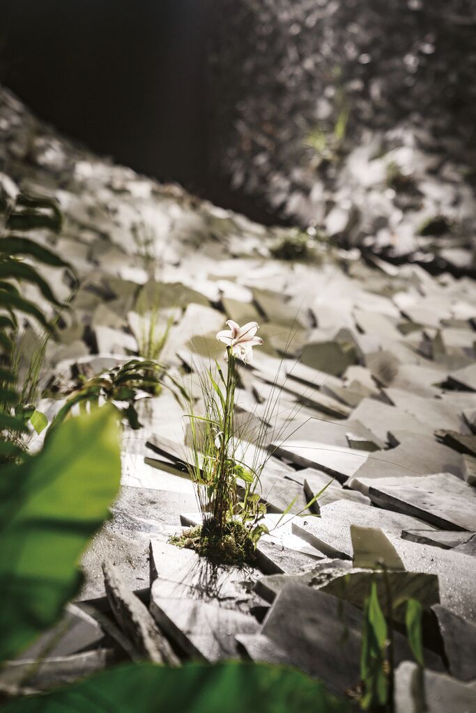 The Tales from Where the Land Emerged