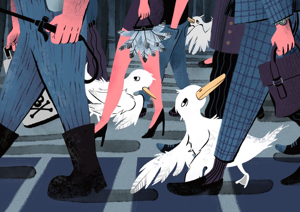 Bird Migration Dilemma