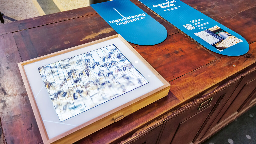 digitize! – Live Science Exhibition