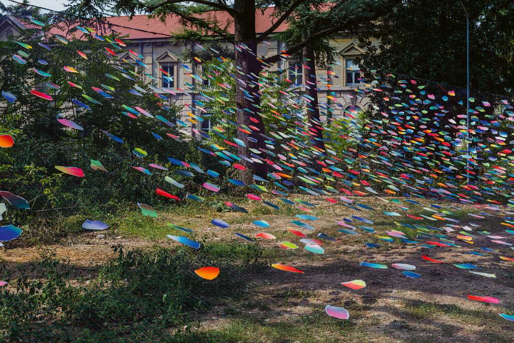 Much Peace, Love and Joy