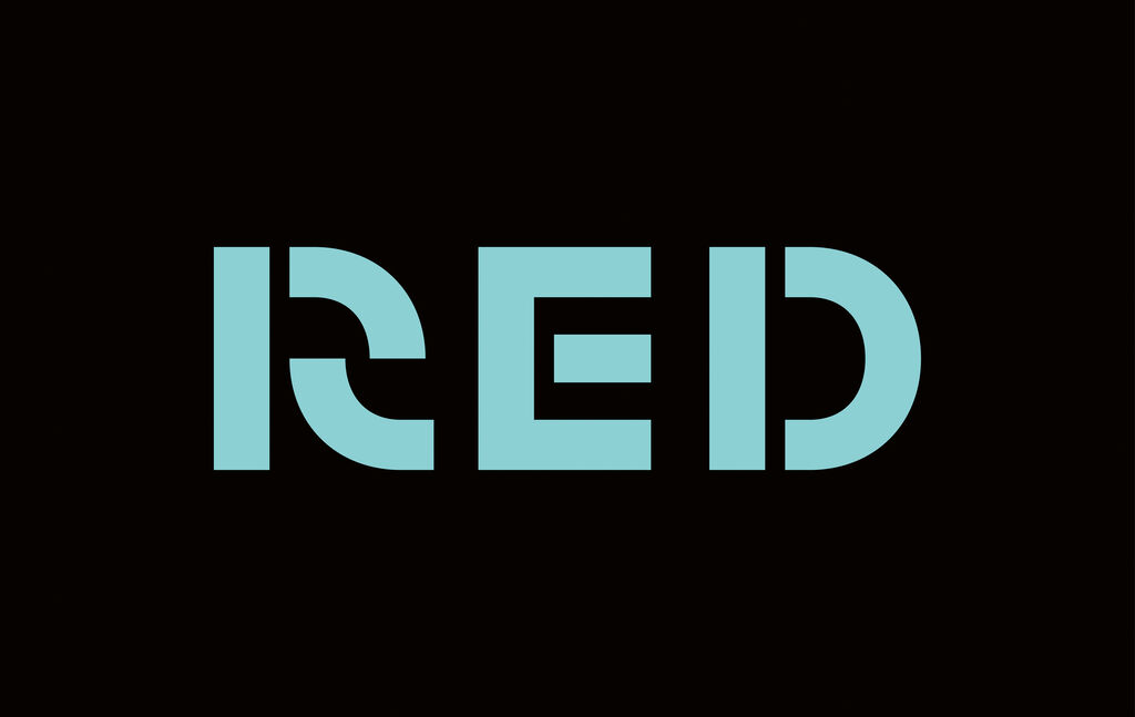 Düsseldorf Conservation Center (RED) – Seeing Differently