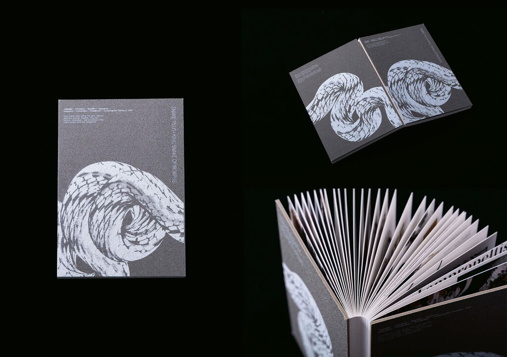 Snake Plus+King Snake of Morphs