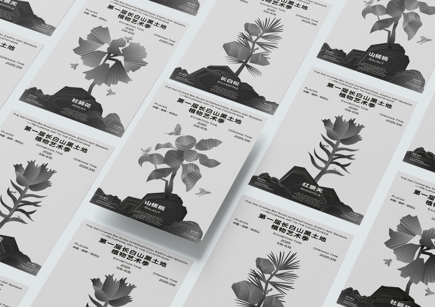 Changbaishan Black Earth Botanical Art Season