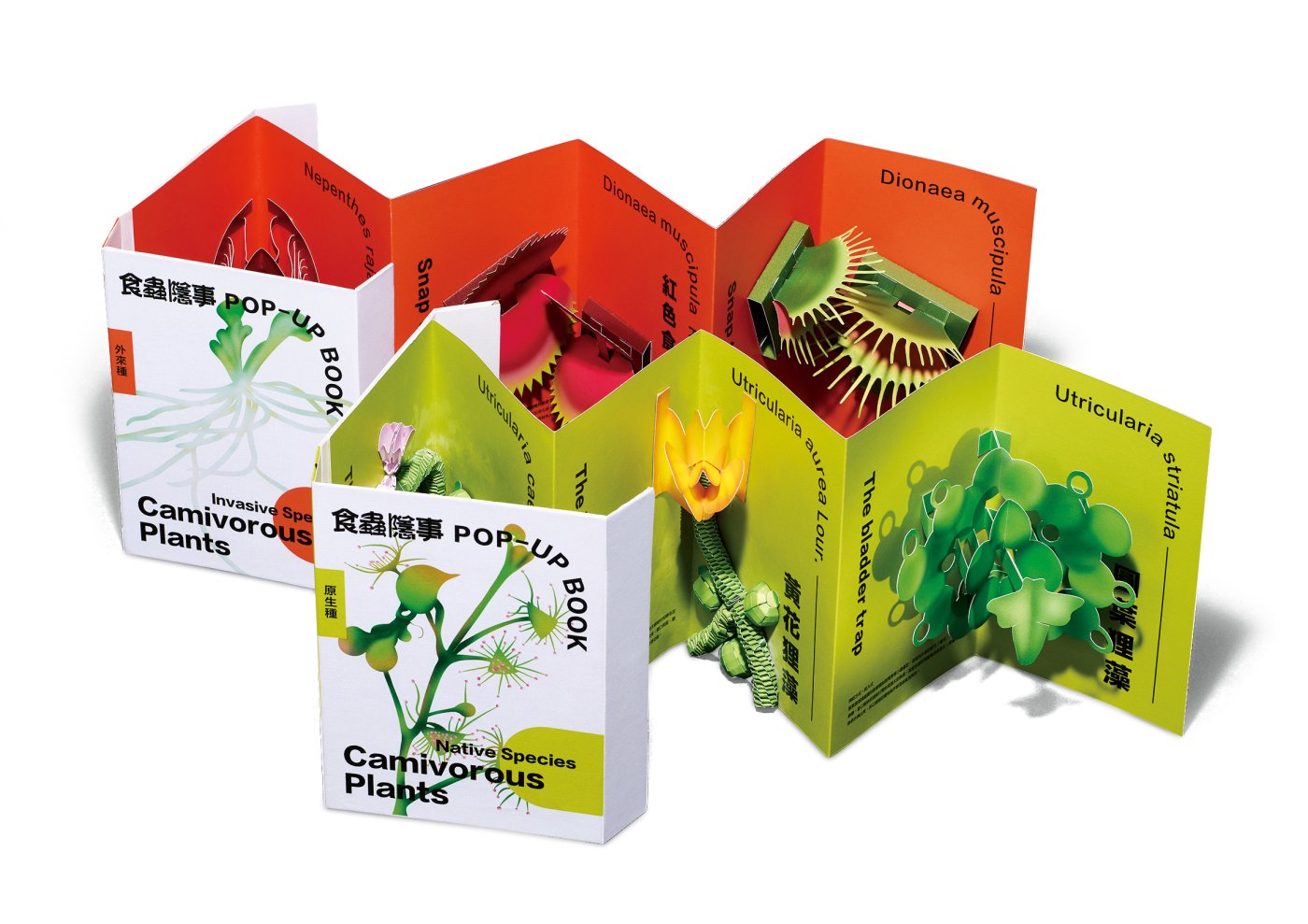 Hidden Lives of Carnivores