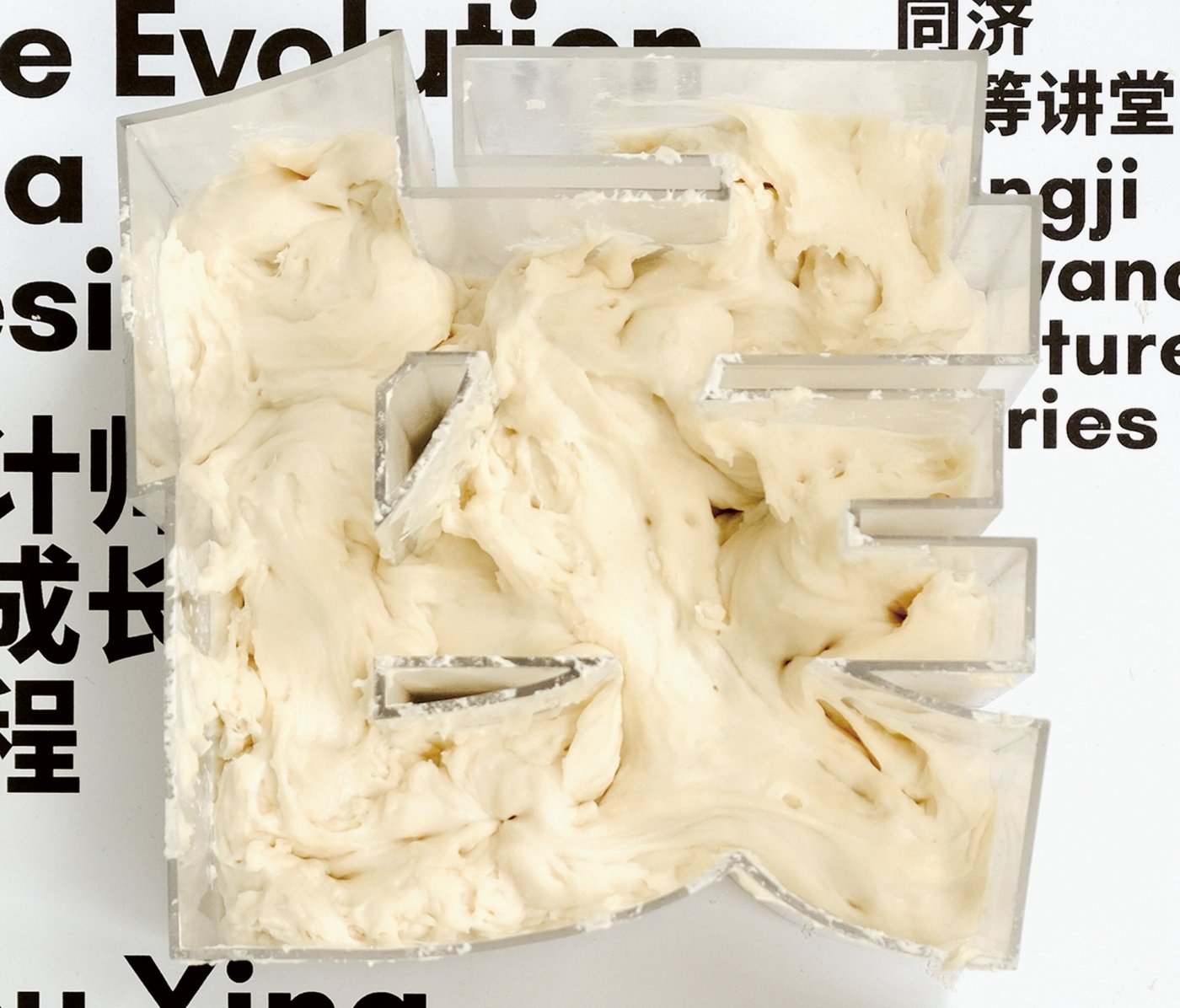 Hou Ying’s Lecture at Tongji Advanced Forum