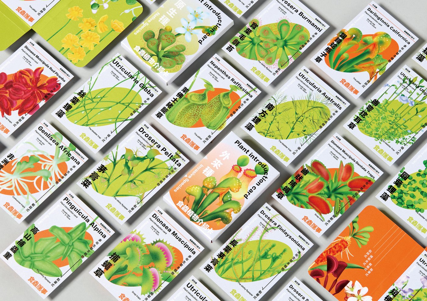 Hidden Lives of Carnivores