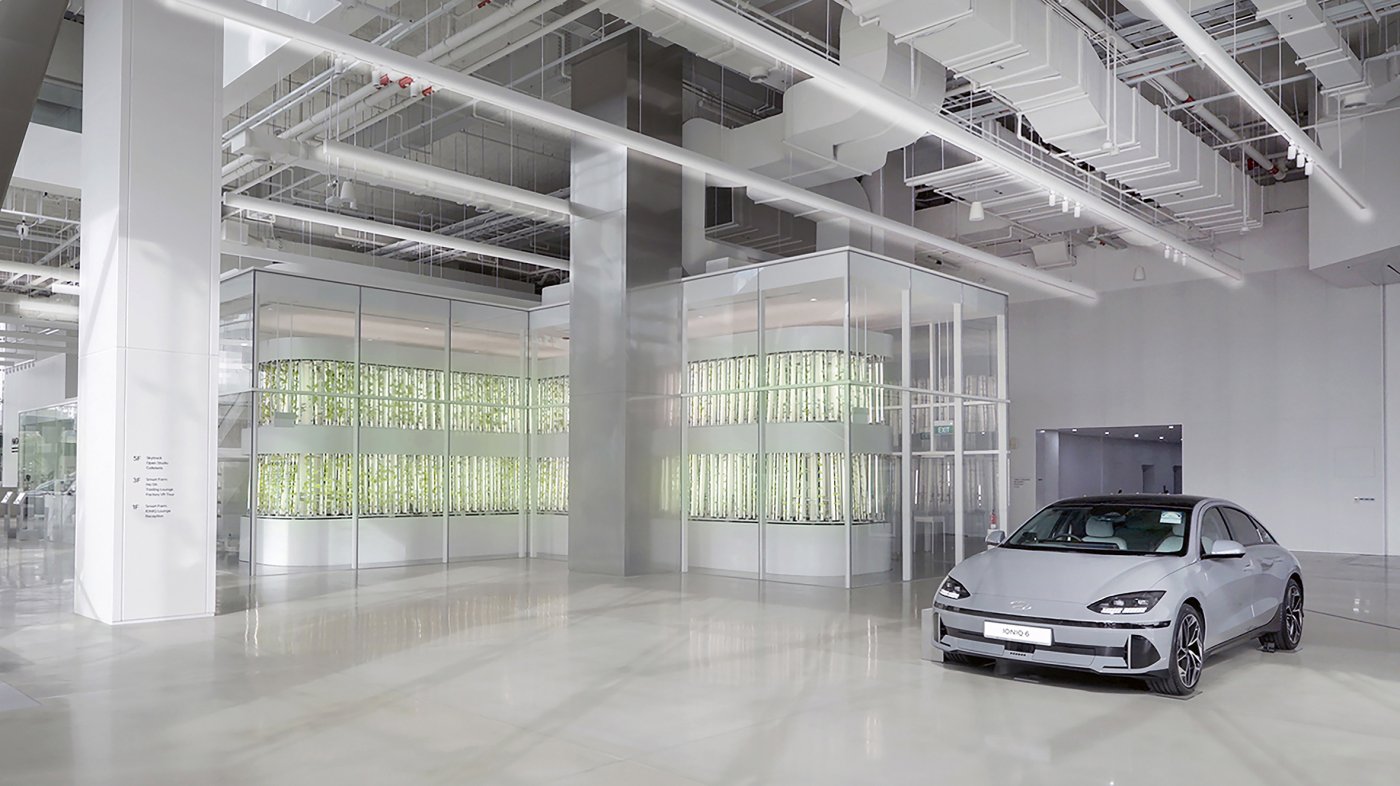 HMGICS CX Area – Smart Farm