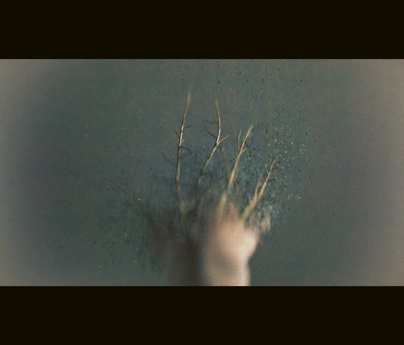 The Fruit of My Woman