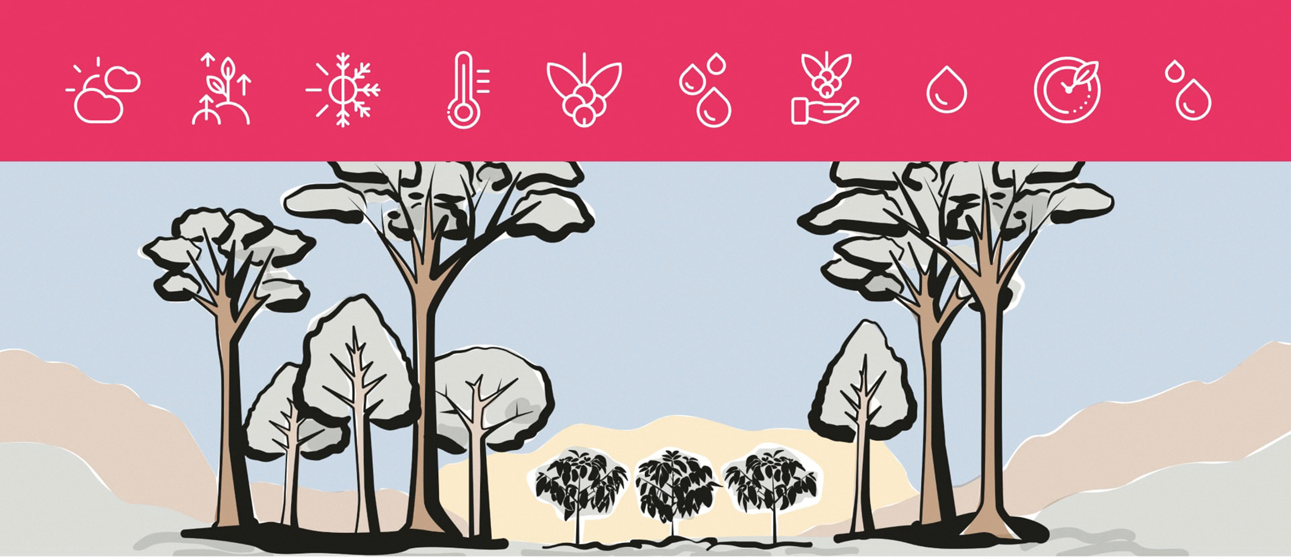 Interview with Melting Experience