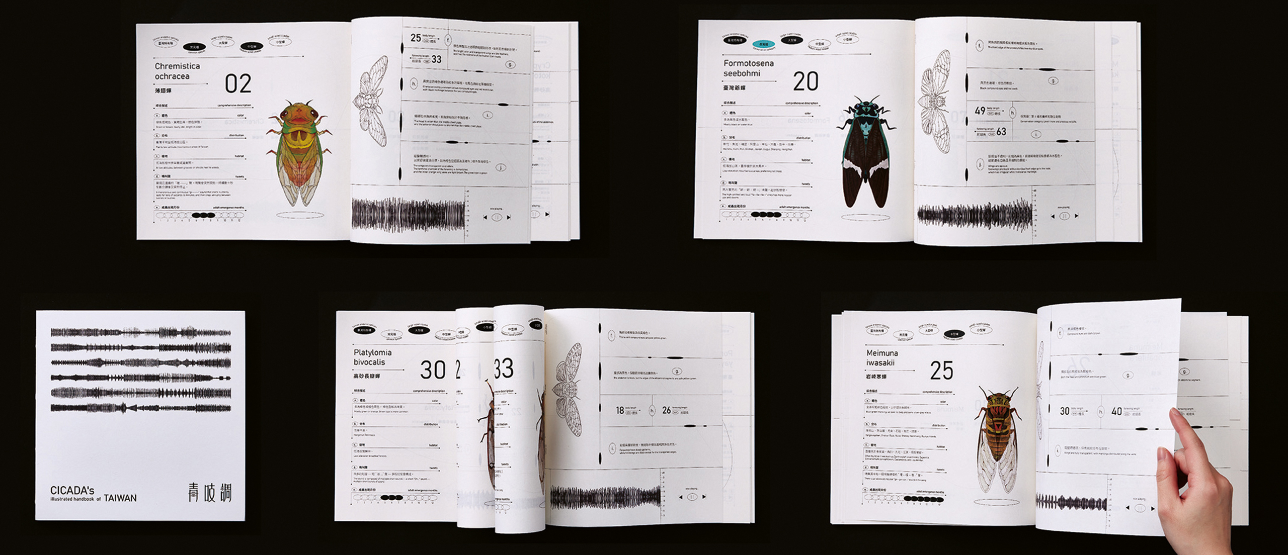 Interview with Team Cicada’s Tune